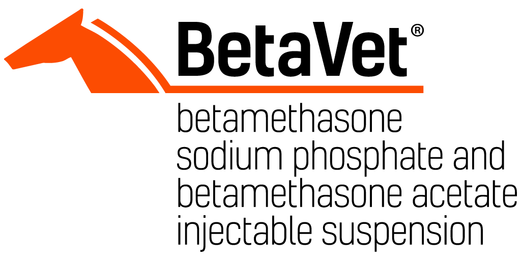BetaVet Logo